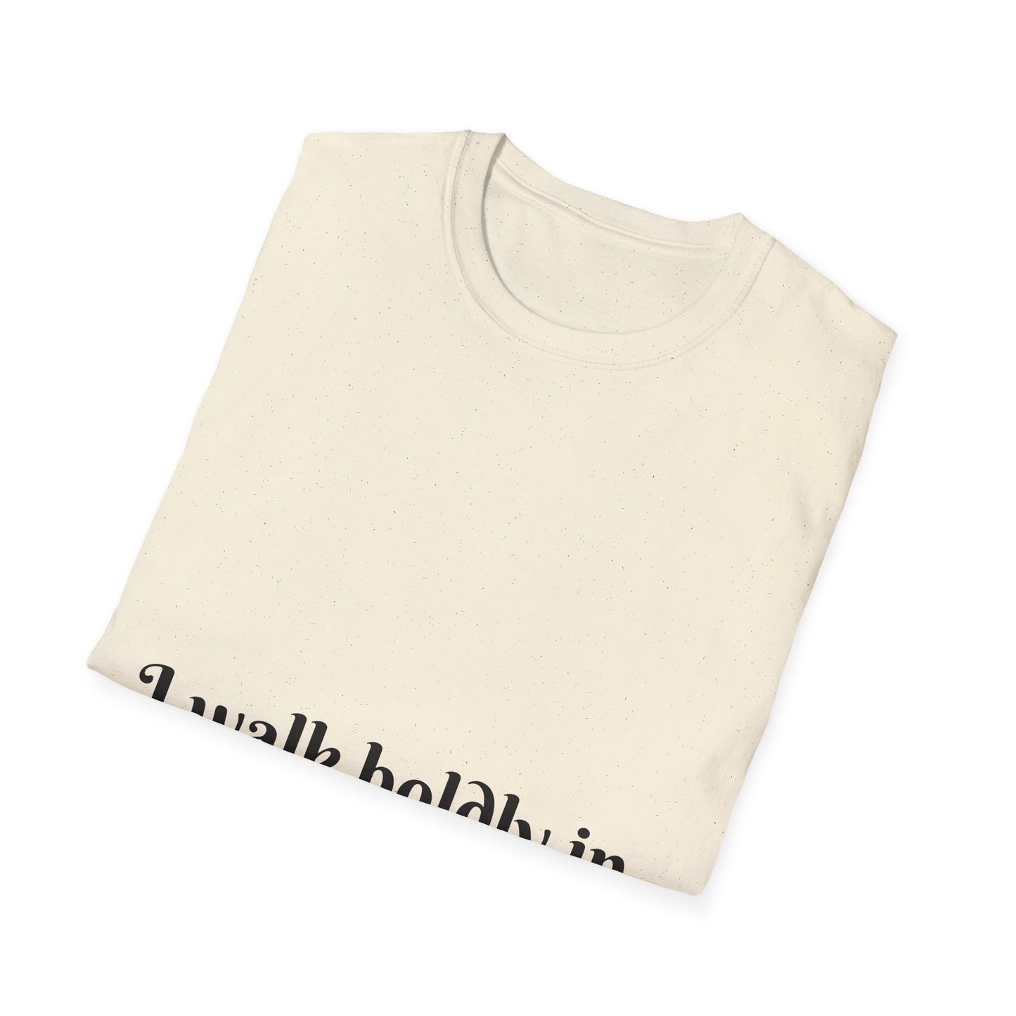 I Walk Boldly in My Truth — Unisex Softstyle T‑Shirt