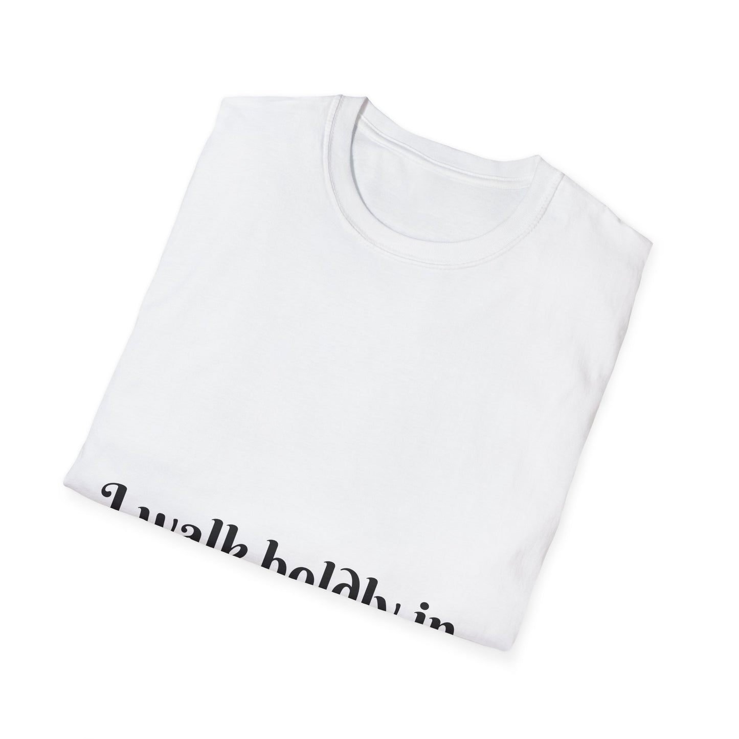 I Walk Boldly in My Truth — Unisex Softstyle T‑Shirt
