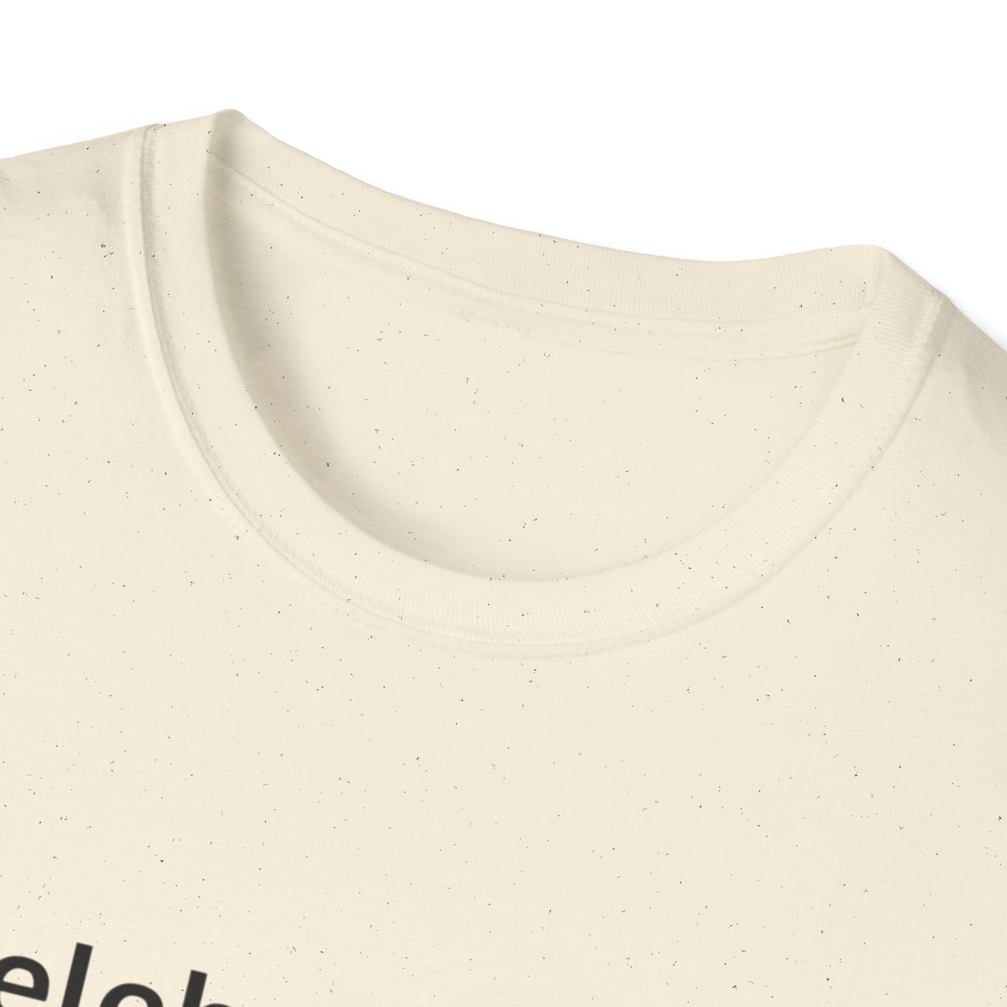 "Celebrating The Version of Me" — Empowered Man Unisex Softstyle Tee (Black Print)