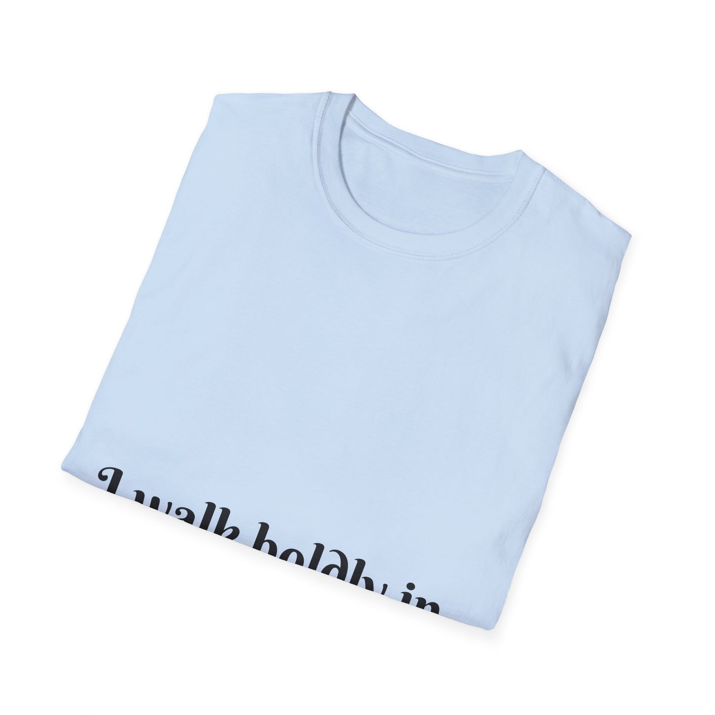 I Walk Boldly in My Truth — Unisex Softstyle T‑Shirt