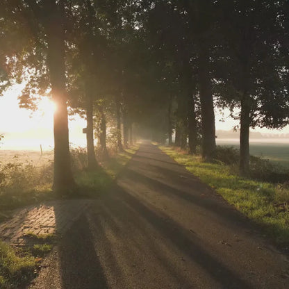 Amber Spark – Meditation Soundscape Video