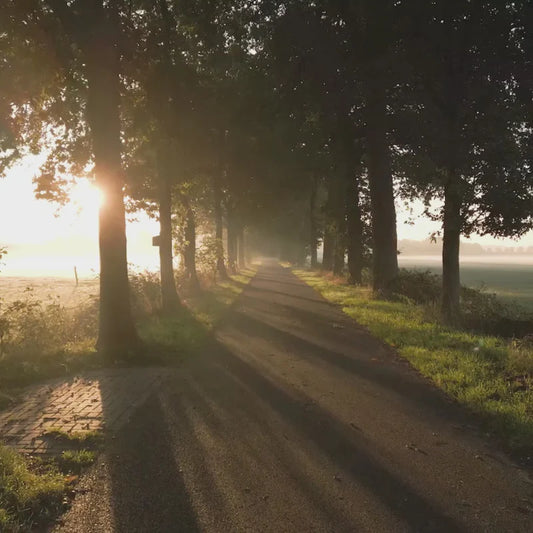 Amber Spark – Meditation Soundscape Video