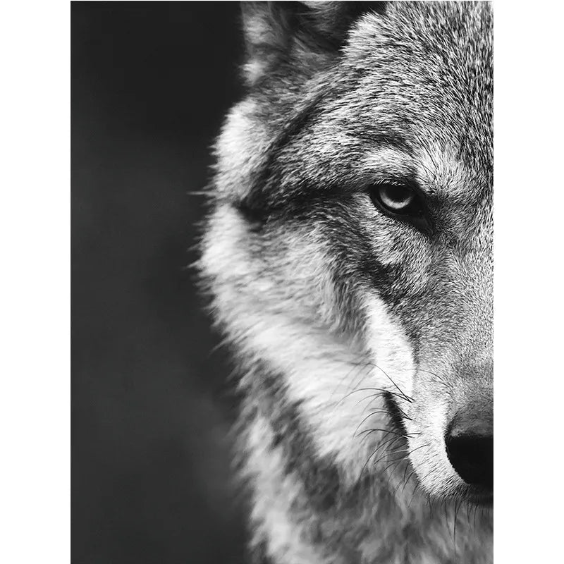 Wolf Head Black White Canvas Unframed