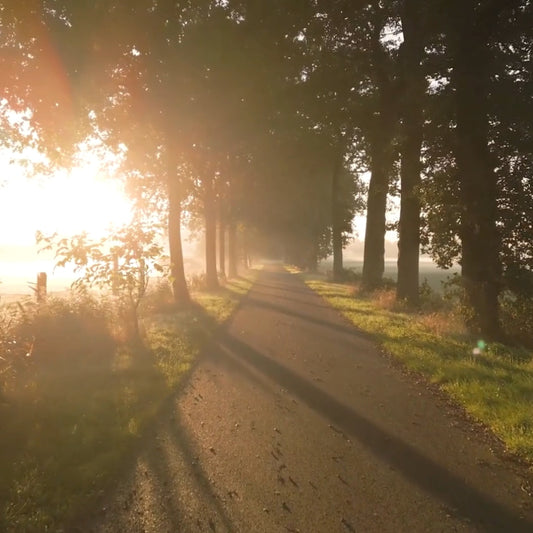 I Rise Again Amber Spark – Meditation Soundscape Video