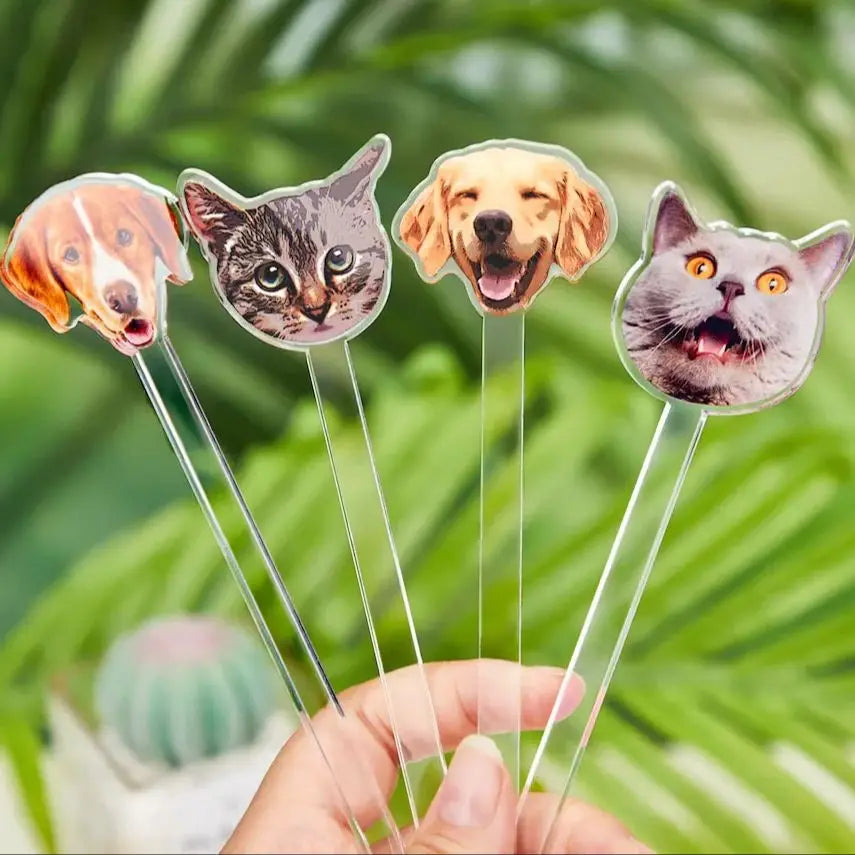 Custom Pet Cocktail Stirrers – Personalized Acrylic Drink Stirs for Weddings, Parties & Gifts