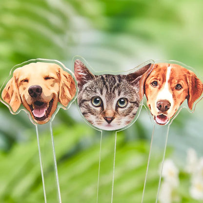 Custom Pet Cocktail Stirrers – Personalized Acrylic Drink Stirs for Weddings, Parties & Gifts