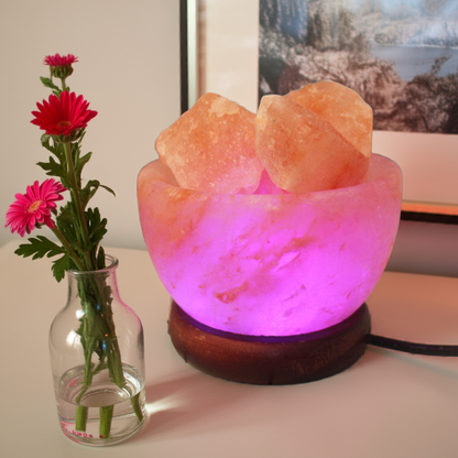 Crystal Salt Stone Cornucopia Lamp LED Color Changing Himalayan Salt Light
